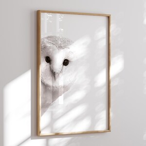 May include: A black and white photograph of an owl's face, framed in a light wood frame.
