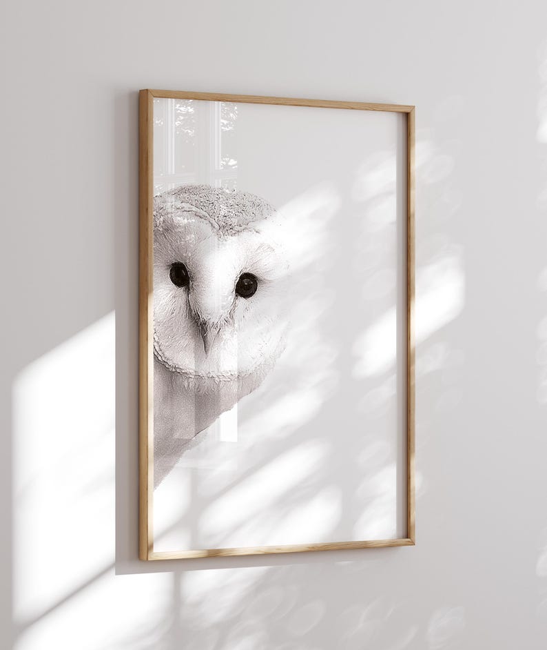 May include: A black and white photograph of an owl's face, framed in a light wood frame.