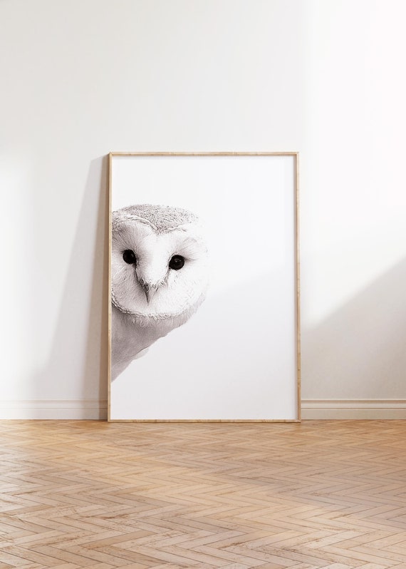 Cute Owl Wall Art, Nursery Woodland Print, Bird Wall Decor, Cute Animal Poster, Printable Owl Artwork, Baby Room Decor, Instant Download Art