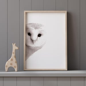 May include: A black and white photograph of an owl's face in a wooden frame. The owl is looking directly at the camera with its large, round eyes. The background is a simple white.