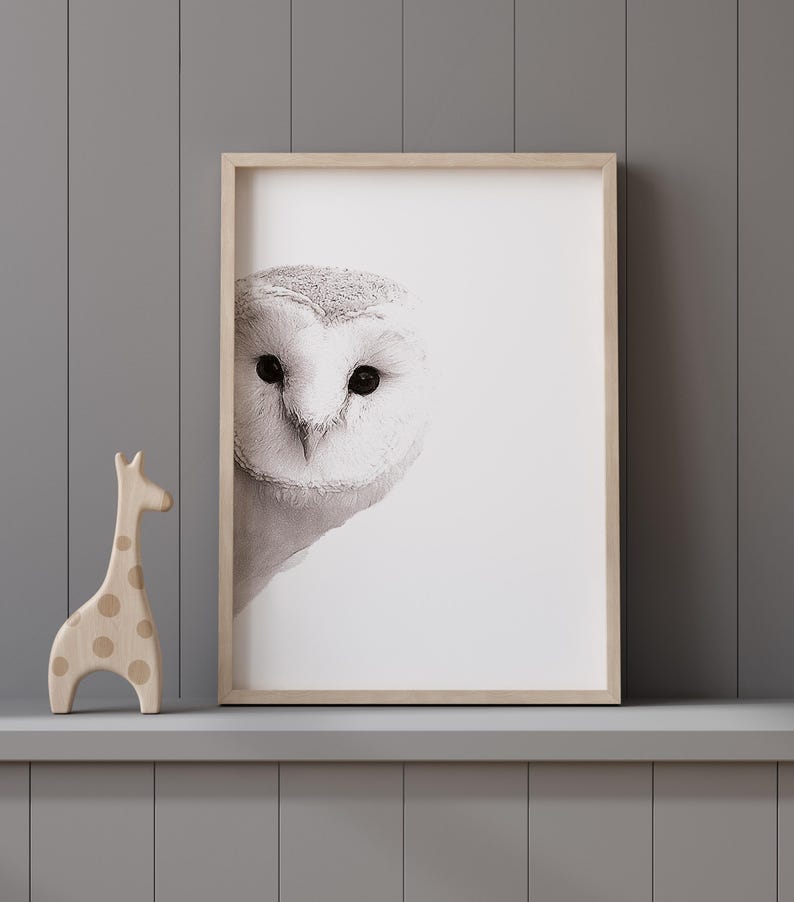 May include: A black and white photograph of an owl's face in a wooden frame. The owl is looking directly at the camera with its large, round eyes. The background is a simple white.