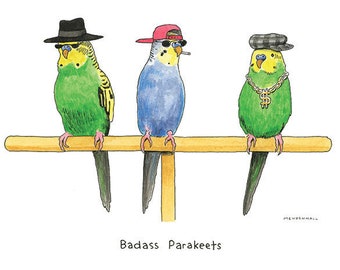 Parrot Painting, Budgie, Weird Stuff, Veterinarian Gift, Cubicle Decor, Parakeet