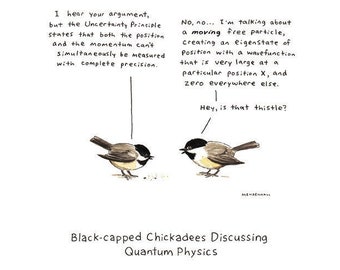 Weird Stuff, Cheer Up Gift, Physics Gift,Thinking of You Gift