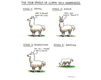 Trending Now, Weird Stuff, Veterinarian Gift