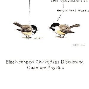 May include: Two black-capped chickadees are perched on branches, facing each other. One chickadee says "zero everywhere else." The other chickadee says "Hey, is that thistle?" The caption below the image reads "Black-capped Chickadees Discussing Quantum Physics."