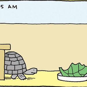 May include: A cartoon illustration of a turtle walking towards a bowl of lettuce. The time 11:15 AM is displayed in the top left corner of the image.