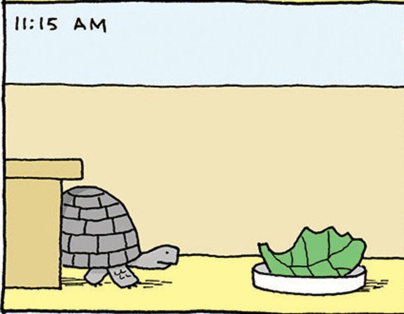 May include: A cartoon illustration of a turtle walking towards a bowl of lettuce. The time 11:15 AM is displayed in the top left corner of the image.