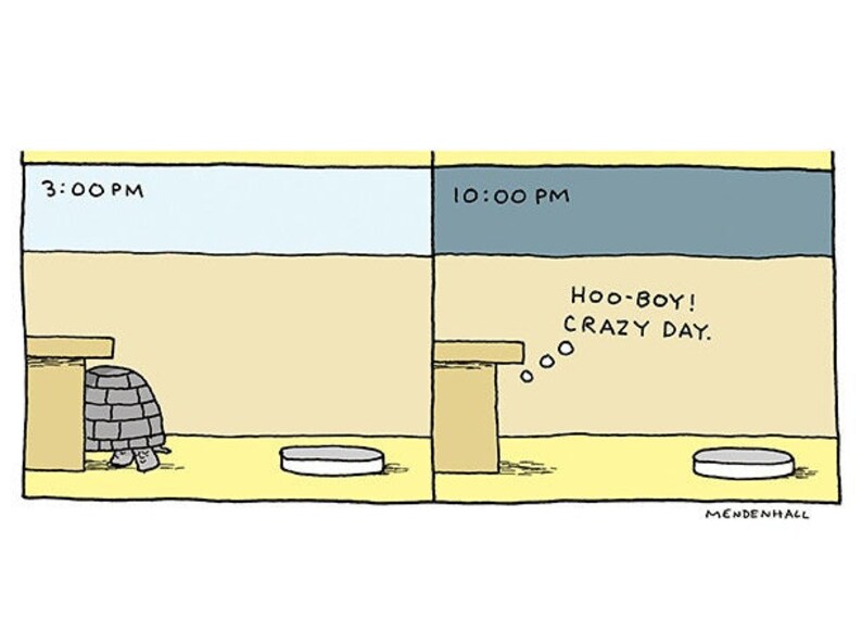 May include: A cartoon illustration of a turtle in a shell sitting on a table at 3:00 PM. The turtle is gone by 10:00 PM and the caption reads "Hoo-boy! Crazy day."