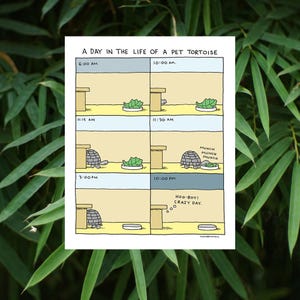 May include: A cartoon illustration of a day in the life of a pet tortoise. The illustration shows the tortoise at different times of the day, including 6:00 AM, 10:00 AM, 11:15 AM, 11:30 AM, 3:00 PM, and 10:00 PM. The tortoise is shown eating, sleeping, and moving around its enclosure. The text "Hoo-boy! Crazy day." is included in the illustration.