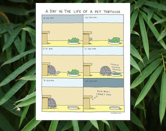 Reptile Decor, Tortoise Wall Art, Tortoise House, Weird Stuff