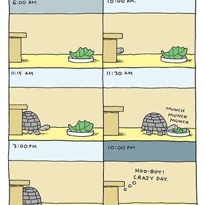 May include: A cartoon illustration depicting a day in the life of a pet tortoise. The illustration shows the tortoise at different times of the day, including 6:00 AM, 10:00 AM, 11:15 AM, 11:30 AM, 3:00 PM, and 10:00 PM. The tortoise is shown eating lettuce, walking, and sleeping. The text in the illustration reads "A Day in the Life of a Pet Tortoise", "6:00 AM", "10:00 AM", "11:15 AM", "11:30 AM", "3:00 PM", "10:00 PM", "Munch Munch Munch", "Hoo-Boy! Crazy Day.", and "Mendenhall".