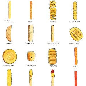 May include: A colorful chart with illustrations of different types of french fries, including traditional, curly, crinkle cut, wedge, steak fry, oven-baked, waffle cut, cottage fry, tater tot, tornado, cajun, batter-dipped, cheese fry, chili-cheese fry, and sweet potato. The chart includes the text "Know Your French Fries" and "* Not technically 'fried', but the other fries are cool with it."
