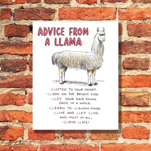 May include: A white llama with brown eyes and a pink nose stands on a white background. The llama is surrounded by text that reads "ADVICE FROM A LLAMA" and "LLISTEN TO YOUR HEART. LLOOK ON THE BRIGHT SIDE. LLET YOUR HAIR DOWN ONCE IN A WHILE. LLEARN TO LLAUGH MORE. LLIVE AND LLET LLIVE. AND, MOST OF ALL, LLOVE LLIFE!"