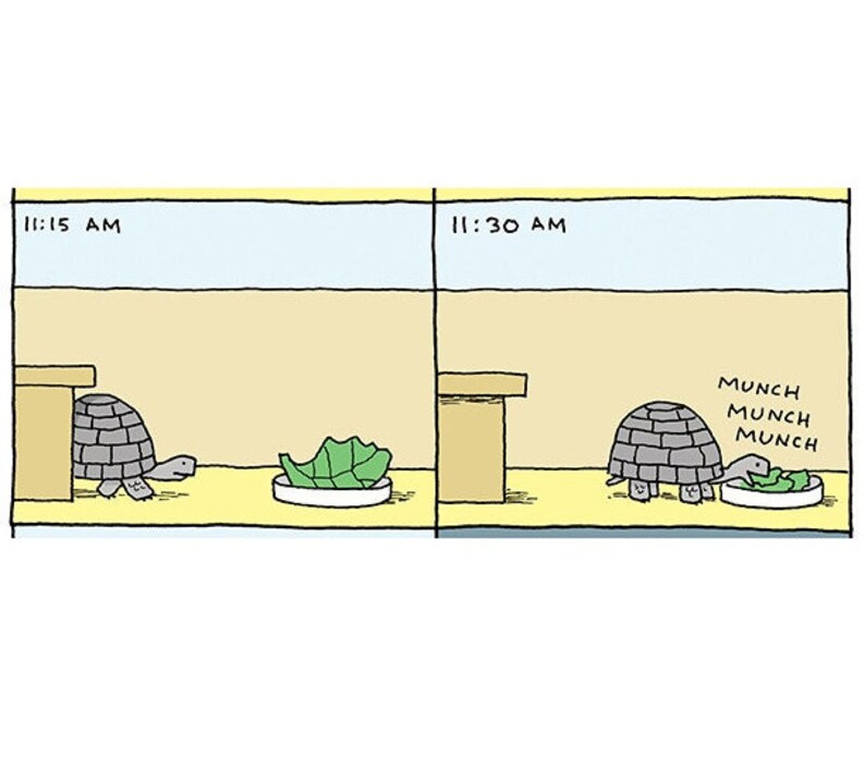 May include: A cartoon illustration of a turtle eating a green leafy vegetable. The turtle is in a yellow enclosure with a brown table and the text "MUNCH MUNCH MUNCH" above it. The time is 11:30 AM.