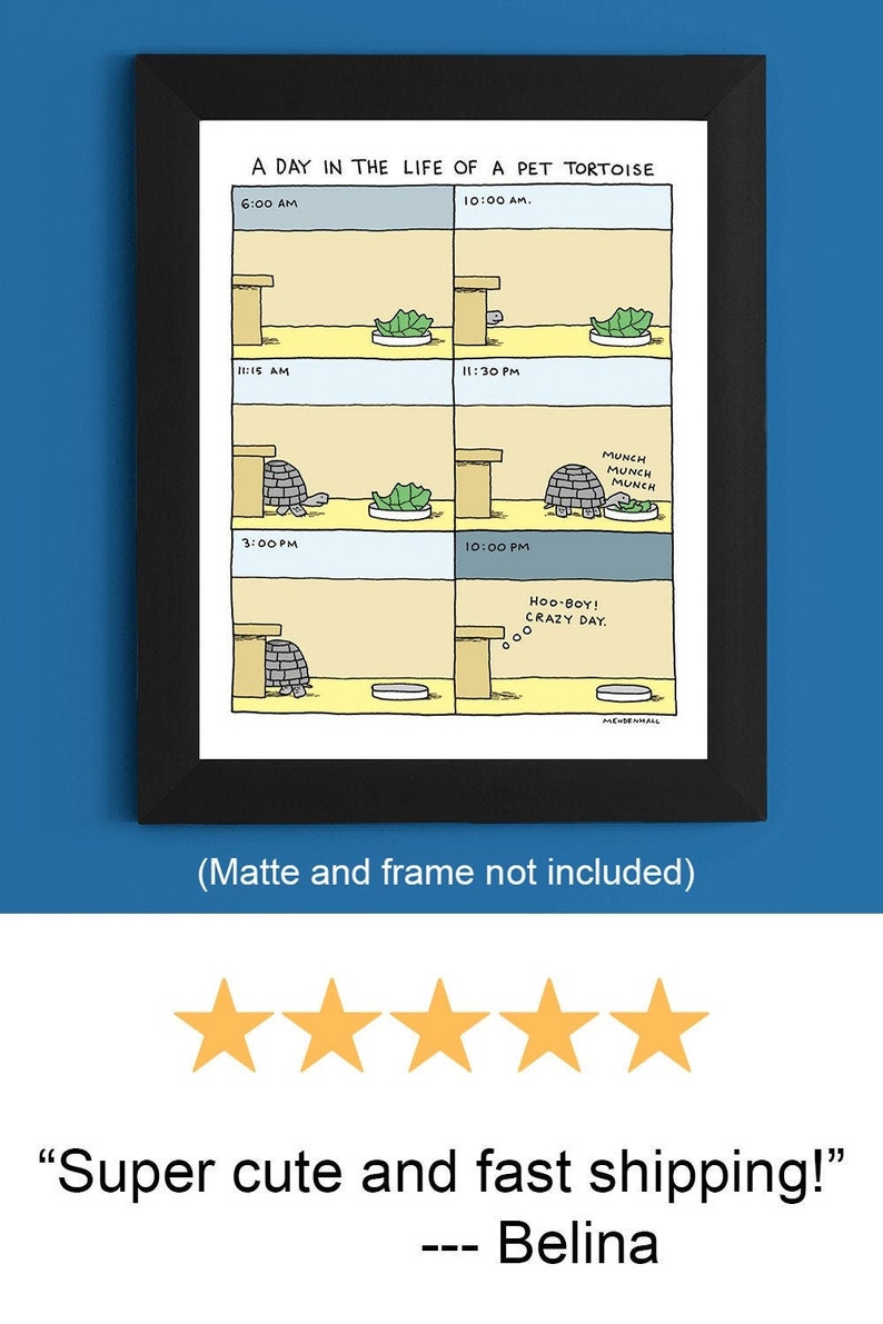 May include: A humorous illustration depicting a day in the life of a pet tortoise. The cartoon shows the tortoise at different times of the day, including eating, sleeping, and exploring. The text includes the times of day and captions like "Hoo-boy! Crazy day."