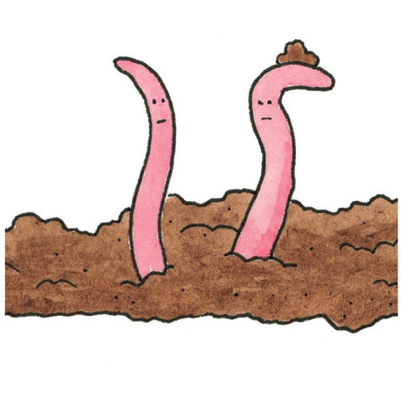 May include: Two pink worms with faces are sticking out of brown dirt. The worm on the right has a small brown pile of dirt on its head.