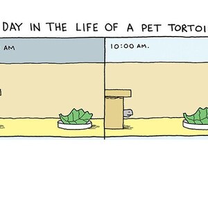 May include: A cartoon illustration depicting a day in the life of a pet tortoise. The first panel shows a tortoise in its enclosure with a green leafy vegetable on a plate. The second panel shows the tortoise under a wooden platform, with the leafy vegetable still on the plate. The time is 6:00 AM in the first panel and 10:00 AM in the second panel.