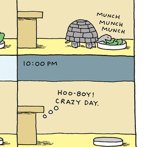 May include: A cartoon illustration of a turtle wearing a shell and eating a salad. The turtle is saying "Munch Munch Munch". The time 10:00 PM is displayed below the turtle. The next panel shows the turtle with a thought bubble saying "Hoo-boy! Crazy day."