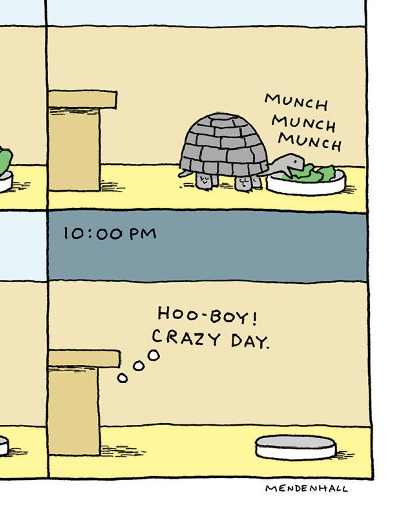 May include: A cartoon illustration of a turtle wearing a shell and eating a salad. The turtle is saying "Munch Munch Munch". The time 10:00 PM is displayed below the turtle. The next panel shows the turtle with a thought bubble saying "Hoo-boy! Crazy day."