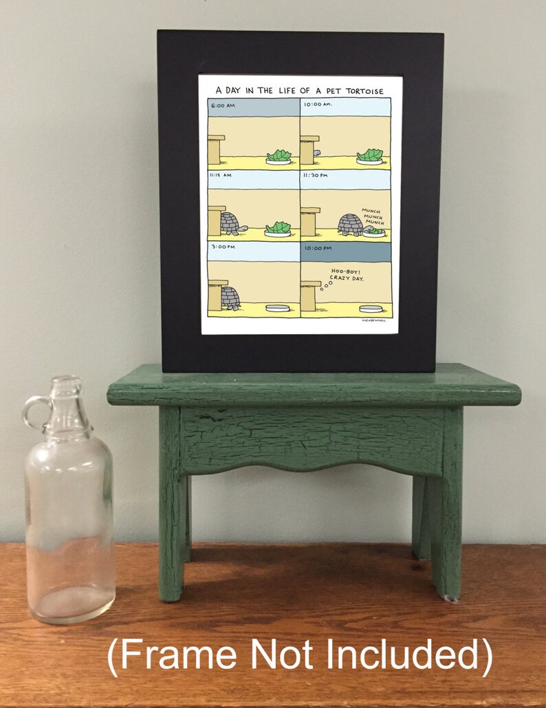 May include: A black framed print of a cartoon illustration depicting a day in the life of a pet tortoise. The illustration shows the tortoise at different times of the day, including 6:00 AM, 10:00 AM, 3:00 PM, and 10:00 PM. The text "A Day in the Life of a Pet Tortoise" is at the top of the print.