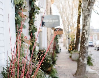Nantucket Holiday Print 2