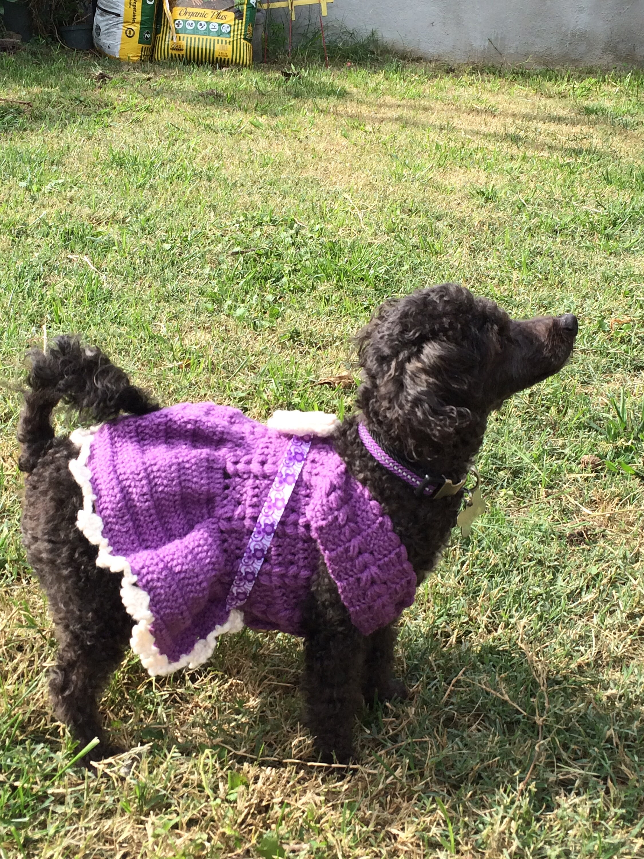 Doggies Clothes Dog Clothes Dog Apparel Pet Apparel Dog Etsy