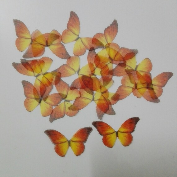 Silk Butterfly 20 Pieces Of Butterfly Fabric Butterfly Wings Etsy