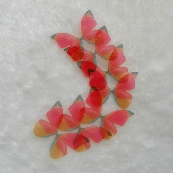 Silk Wings Spread Imitated Real butterflies moths Wholesale Mix Lot Choose Size From 3CM to 12CM
