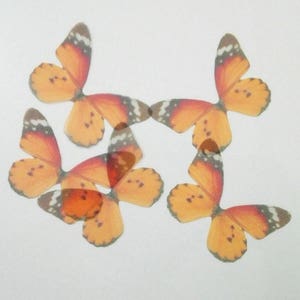 Organza Fabric Butterfly Wings Butterflies Craft Jewelry Hat Making Earrings Findings Sewing Project-3CM/&4CM5CM-30 Pieces Mixed In Lot!