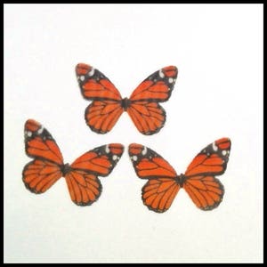 Butterfly Decors -50 MM Chic Jewelry Crafts -Silk Butterfly Wings With Vivid Color*20 Pieces