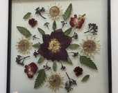 Real Flower Mandala - pressed flower art.