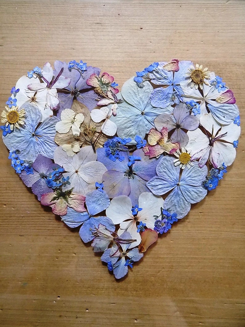 Pressed Flower Frame 'hydrangea Heart'. Pressed Etsy
