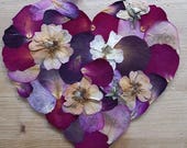 Rose Petal Heart - pressed flower art, pressed flower frame.