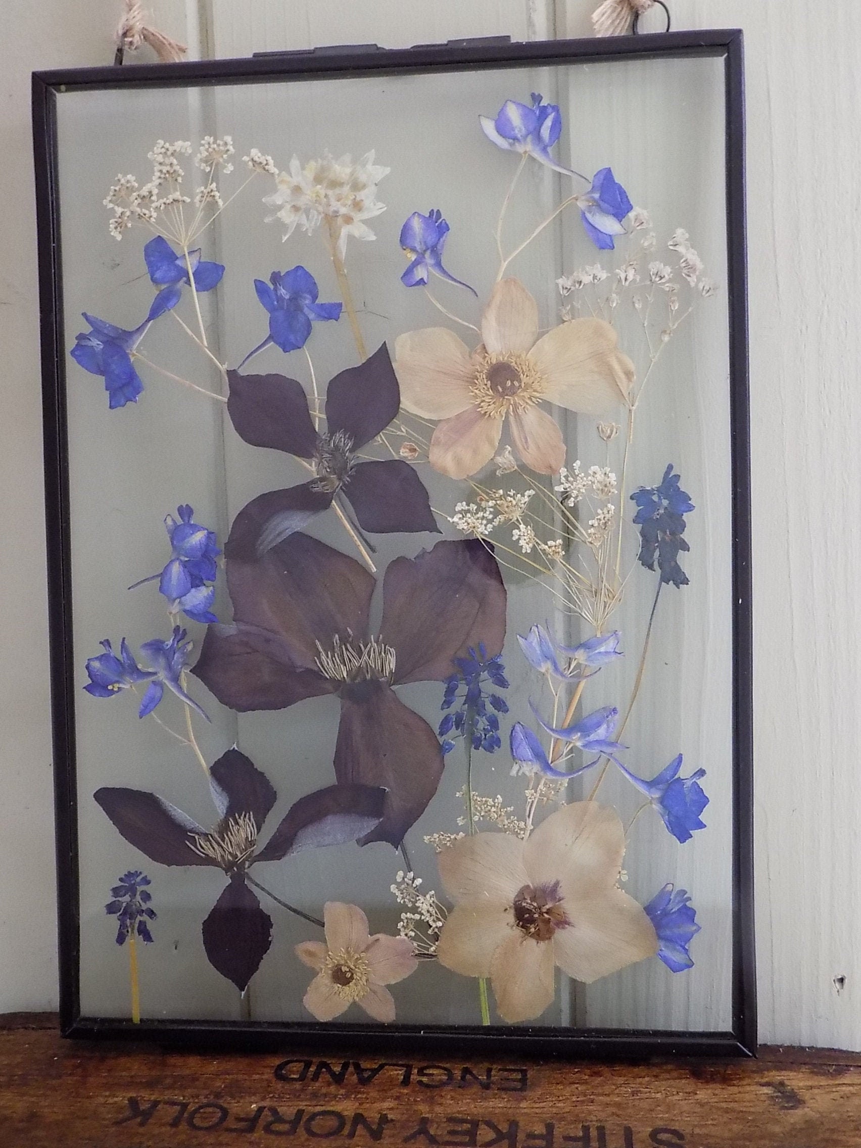 Pressed Flower Frame. Pressed Flower Art: 'Clematis and | Etsy