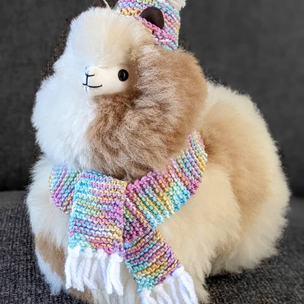 Accessoire pour Alpaga tenue pour peluche Alpaga  chapeau d'hiver et écharpe arc-en-ciel