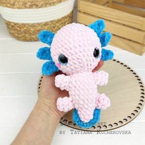 May include: A pink and blue crocheted axolotl plush toy. The axolotl has large, black eyes and a blue, feathery tail.