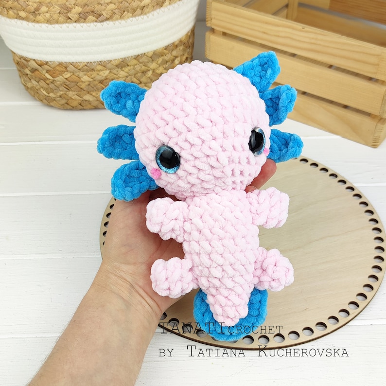 May include: A pink and blue crocheted axolotl plush toy. The axolotl has large, black eyes and a blue, feathery tail.