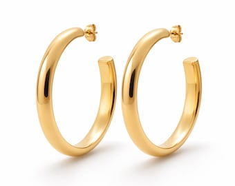 Hoops Earrings