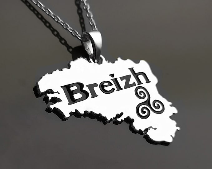 French Brittany Necklace, Sterling Silver, French Britain regional Jewelry Souvenir, Breizh Bretagne Map, Breton Pendant, Triskell Symbol