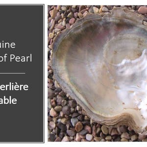 May include: A genuine mother of pearl shell with an iridescent, pearlescent interior surface. The text on the left side reads: Genuine Mother of Pearl, Nacre Perli&egrave;re V&eacute;ritable. The shell has a natural, irregular, and organic shape with smooth edges.