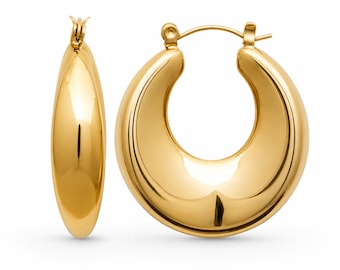 Hoops Earrings
