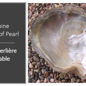 May include: A genuine mother of pearl shell with an iridescent, pearlescent interior surface. The text on the left side reads: Genuine Mother of Pearl, Nacre Perli&egrave;re V&eacute;ritable. The shell has a natural, irregular, and organic shape with smooth edges.