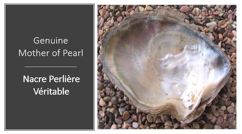 May include: A genuine mother of pearl shell with an iridescent, pearlescent interior surface. The text on the left side reads: Genuine Mother of Pearl, Nacre Perli&egrave;re V&eacute;ritable. The shell has a natural, irregular, and organic shape with smooth edges.