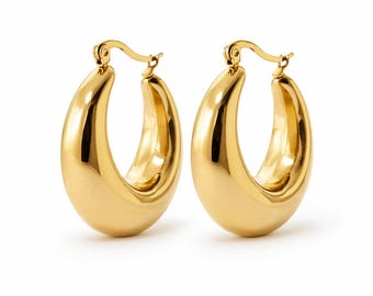 Hoops Earrings