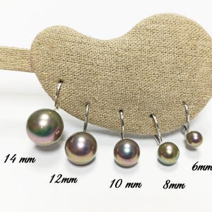 Natürliche Schwarze Tahiti-Perlen Ohrstecker – 13-14 Mm, 14K Weißgold Fassung, AAA Qualität