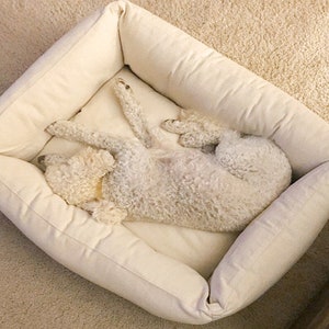 Wool Pet Bed / All Natural, Non-toxic / Made to Order from Organic and Oeko-Tex Fabrics & Wool / Custom Sizes on Request image 6