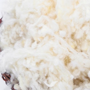 Rembourrage en laine biologique / Certifié GOTS / Parfait pour remplir les oreillers, coussins, poupées image 2