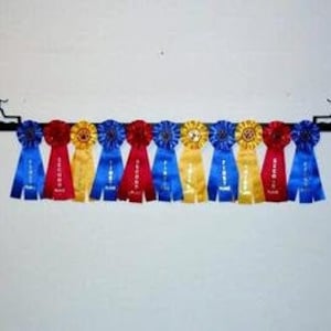 Showoff Ribbon Rack - Dock Dog