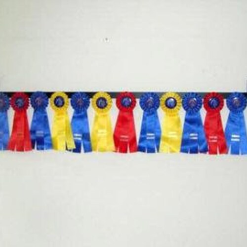 Showoff Ribbon Rack Barrel Racer | Etsy