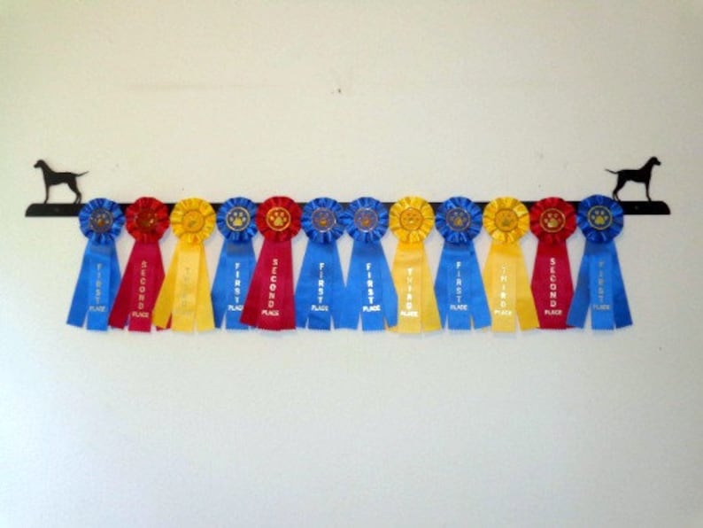 Showoff Ribbon Rack 0128W Pointer - Etsy